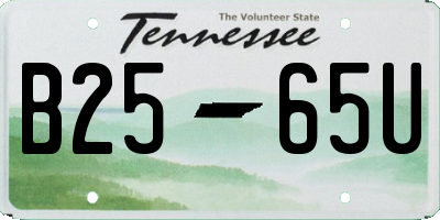 TN license plate B2565U