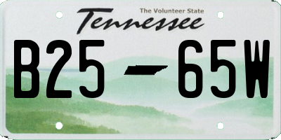 TN license plate B2565W