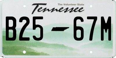 TN license plate B2567M
