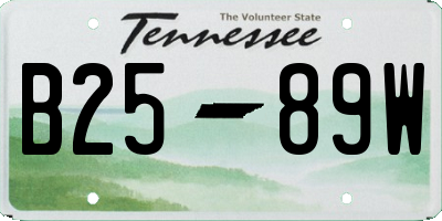 TN license plate B2589W