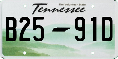TN license plate B2591D