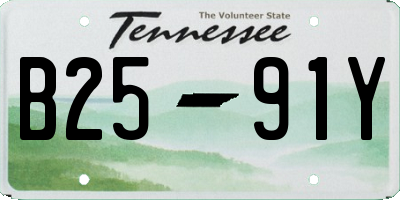 TN license plate B2591Y