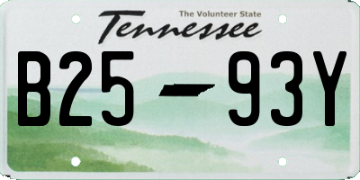 TN license plate B2593Y