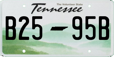 TN license plate B2595B