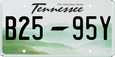 TN license plate B2595Y
