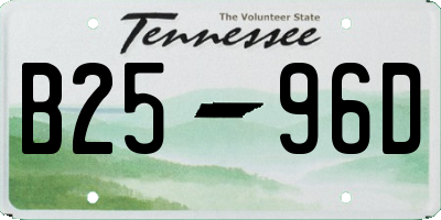 TN license plate B2596D