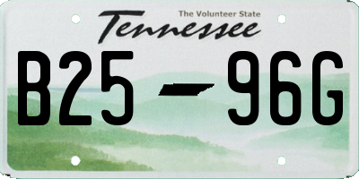 TN license plate B2596G