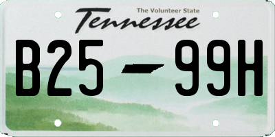 TN license plate B2599H