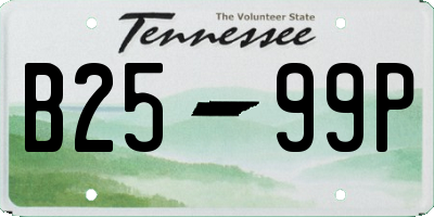 TN license plate B2599P