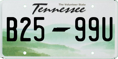TN license plate B2599U