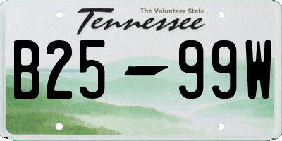 TN license plate B2599W