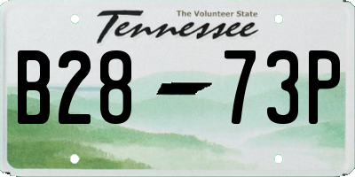 TN license plate B2873P