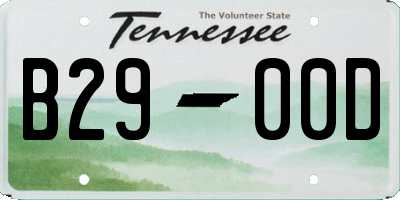 TN license plate B2900D