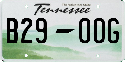 TN license plate B2900G