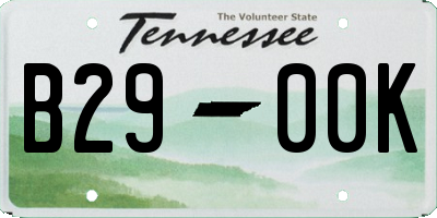 TN license plate B2900K