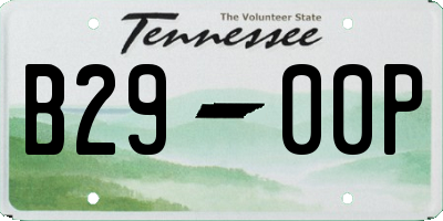 TN license plate B2900P