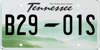 TN license plate B2901S