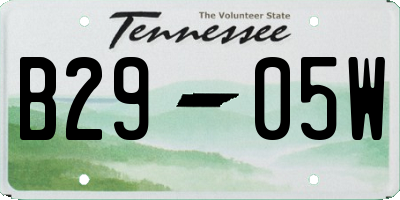 TN license plate B2905W