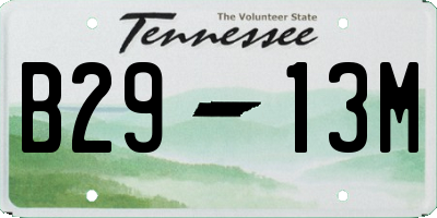 TN license plate B2913M