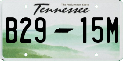 TN license plate B2915M