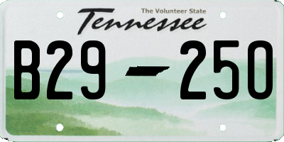 TN license plate B2925O