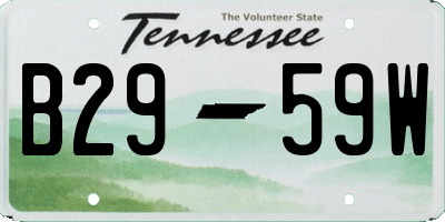 TN license plate B2959W