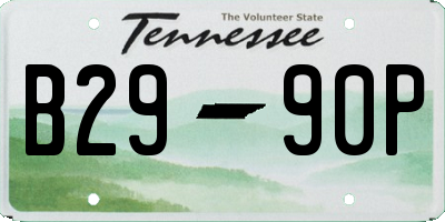 TN license plate B2990P