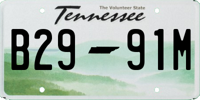 TN license plate B2991M