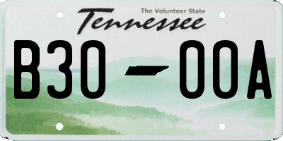 TN license plate B3000A