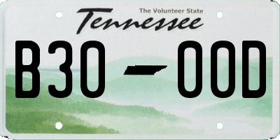 TN license plate B3000D