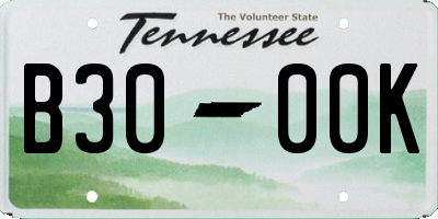 TN license plate B3000K