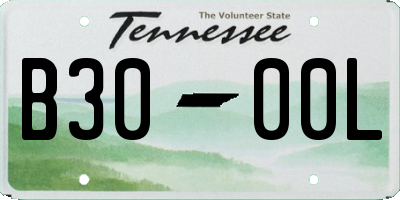 TN license plate B3000L