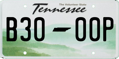 TN license plate B3000P