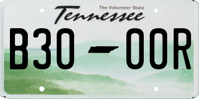 TN license plate B3000R