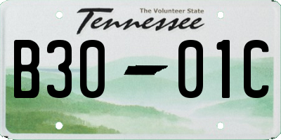 TN license plate B3001C