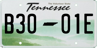 TN license plate B3001E
