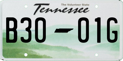 TN license plate B3001G