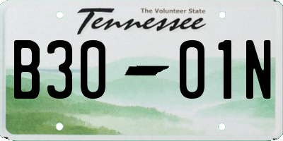 TN license plate B3001N