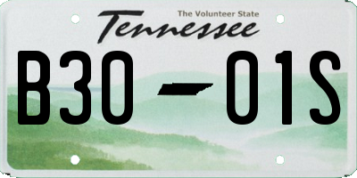 TN license plate B3001S