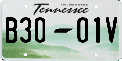 TN license plate B3001V