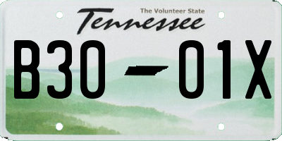 TN license plate B3001X