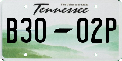 TN license plate B3002P