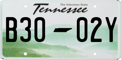 TN license plate B3002Y