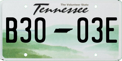 TN license plate B3003E