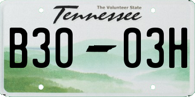 TN license plate B3003H