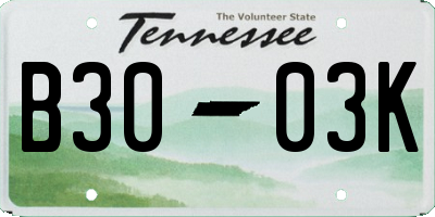 TN license plate B3003K