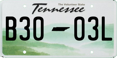 TN license plate B3003L