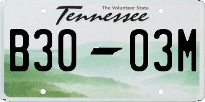 TN license plate B3003M