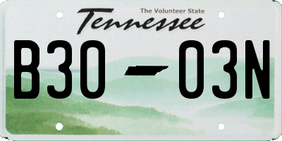 TN license plate B3003N