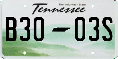 TN license plate B3003S